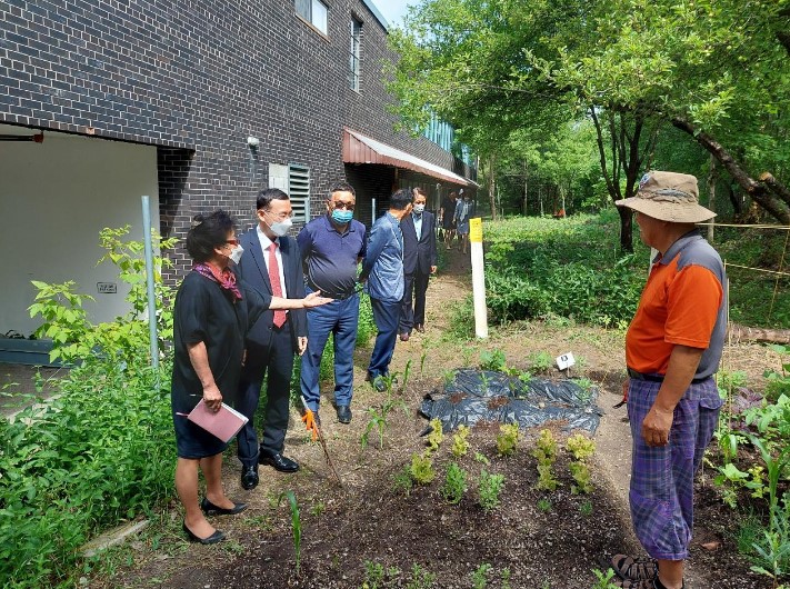 토론토한인회, 2024년 텃밭 분양 시작 - CKNNews 이미지