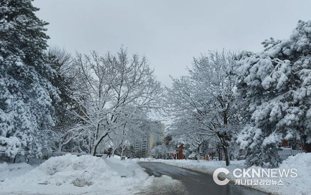 토론토, 또 폭설 예고 … 이번주 수요일 최대 25cm - CKNNews 이미지