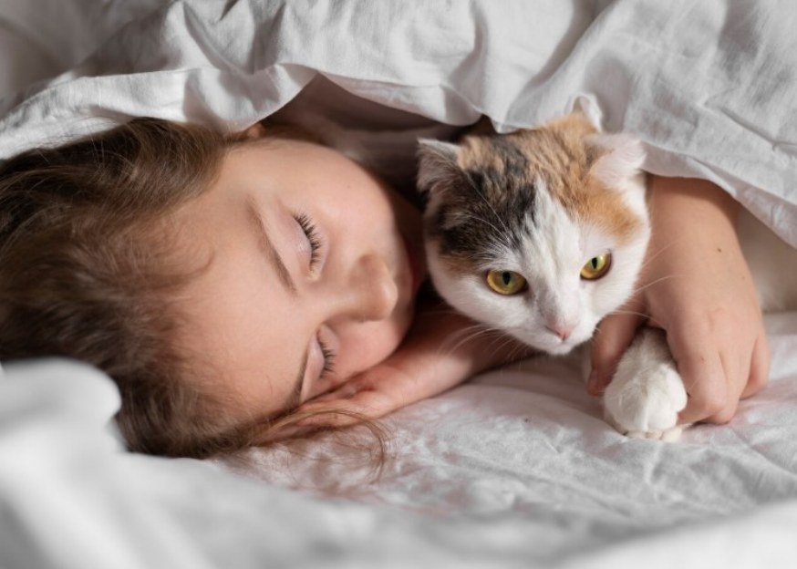 “따뜻해서 좋지만...” 반려동물과 함께 잘 때 유의할 점 - CKNNews 이미지