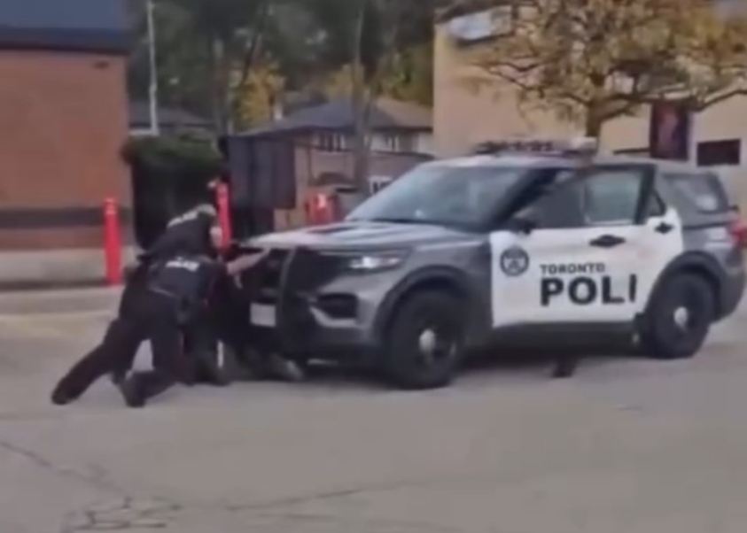 토론토 경찰, 체포 과정서 순찰차로 피의자 밟아… 내부 감찰 착수 - CKNNews 이미지