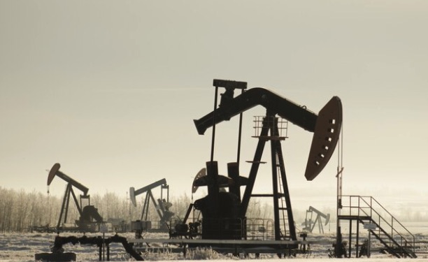 휘발유 가격 내려갈까?⋯오펙+ '원유 증산' 결정 - CKNNews 이미지