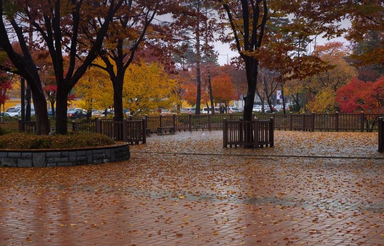 토론토, 5일(수) 강풍주의보… 남부 온타리오 전역 돌풍 예보 - CKNNews 이미지