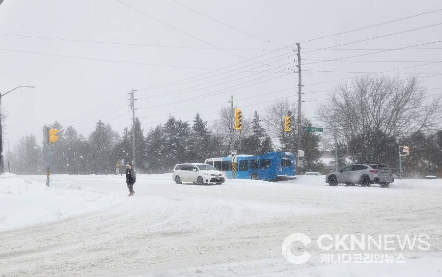 광역토론토, 나이아가라 지역에 주말까지 최대 40cm 폭설 예보 - CKNNews 이미지